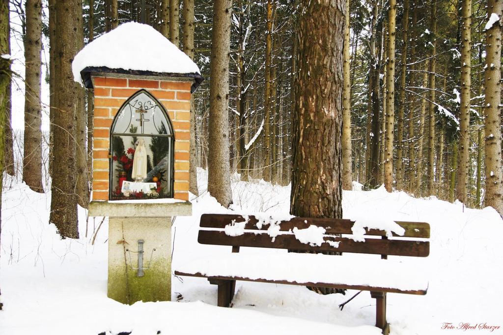 הוילה Ardagger Markt Bio-Bauernhof Haunschmid מראה חיצוני תמונה