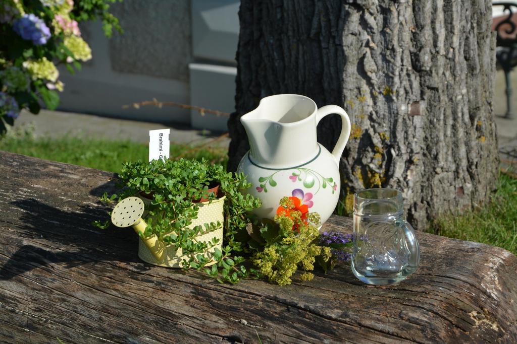 הוילה Ardagger Markt Bio-Bauernhof Haunschmid מראה חיצוני תמונה