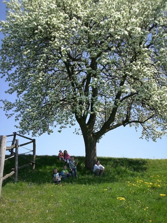 הוילה Ardagger Markt Bio-Bauernhof Haunschmid מראה חיצוני תמונה